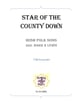 Star of the County Down TTBB choral sheet music cover